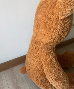 Oso de Peluche