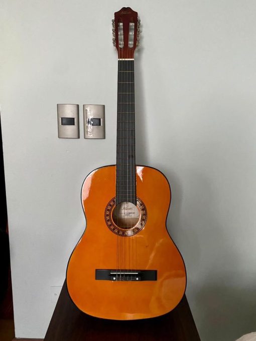 Guitarra