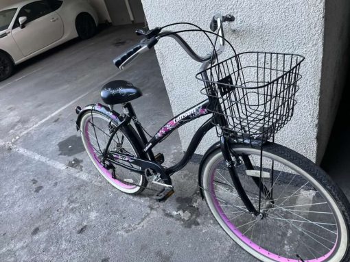 Bicicleta