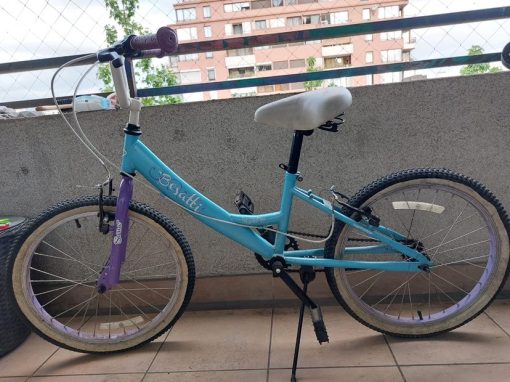 Bicicleta