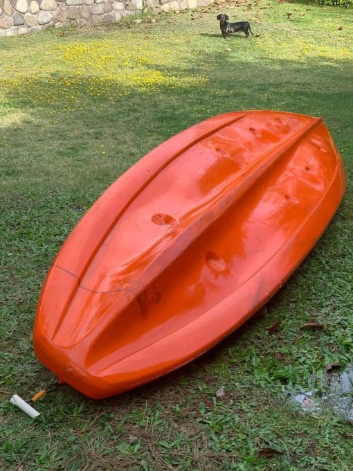 Kayak