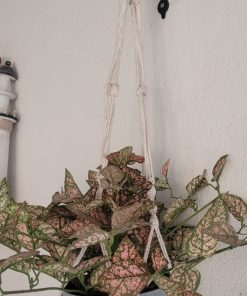 Planta artificial colgante 